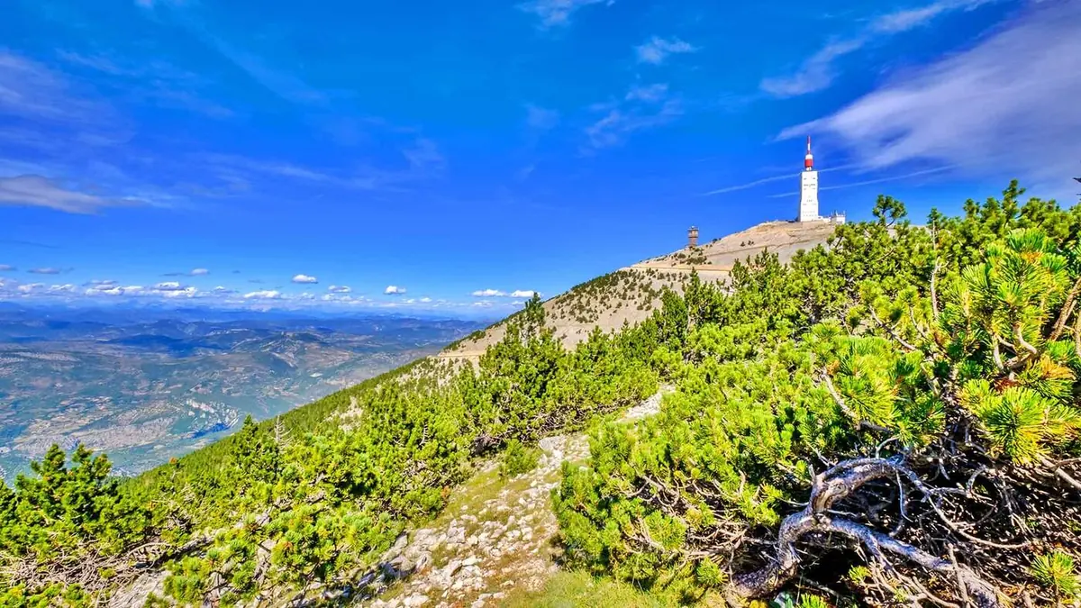 Marche ascensionnelle sur les pentes du Mont Ventoux